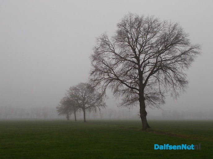 Winters sfeertje