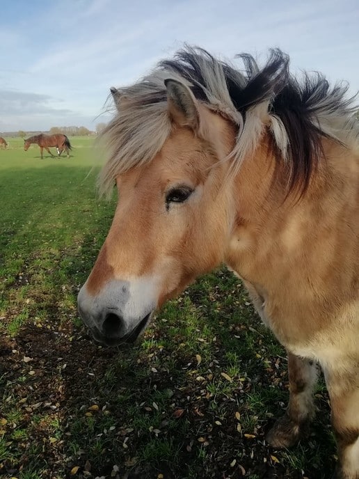 Kijk- Doe- en Knuffeldag - Foto: Eigen geleverde foto