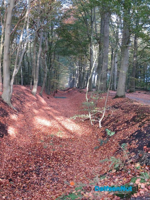 Herfst, ook aan de Mataramweg en Emmertochtsloot - Foto: Wim