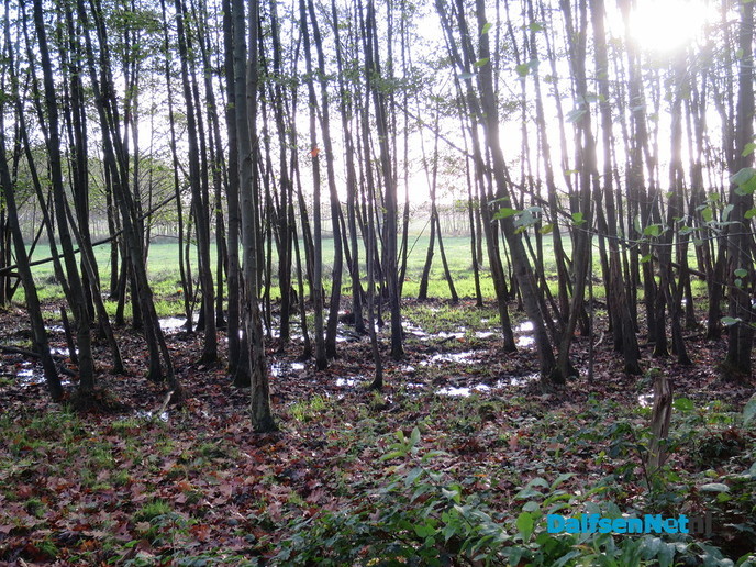Herfst, ook aan de Mataramweg en Emmertochtsloot - Foto: Wim