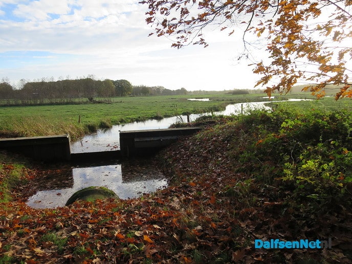 Herfst, ook aan de Mataramweg en Emmertochtsloot - Foto: Wim