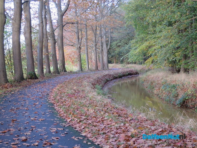 Herfst, ook aan de Mataramweg en Emmertochtsloot - Foto: Wim