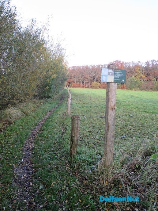 Herfst, ook aan de Mataramweg en Emmertochtsloot - Foto: Wim