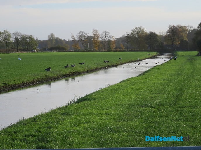 Herfst, ook aan de Mataramweg en Emmertochtsloot - Foto: Wim