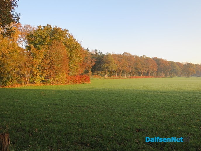 Ook rond Hoonhorst schijnt de zon - Foto: Wim