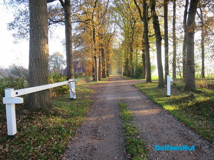 Ook rond Hoonhorst schijnt de zon - Foto: Wim