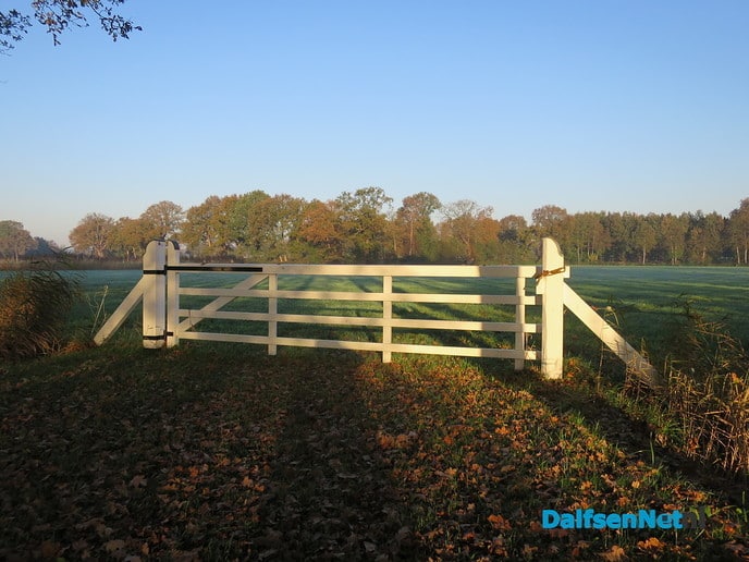 Ook rond Hoonhorst schijnt de zon - Foto: Wim