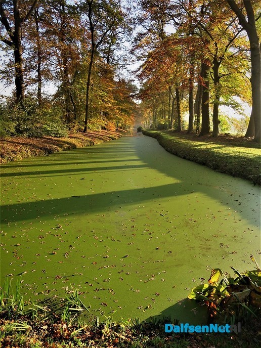 Ook rond Hoonhorst schijnt de zon - Foto: Wim