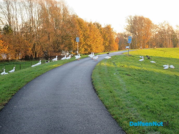 Mooi fietsrondje voor de zondagmorgen - Foto: Wim