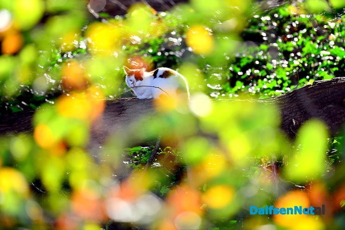 Natuur foto’s - Foto: Ben Jonkman