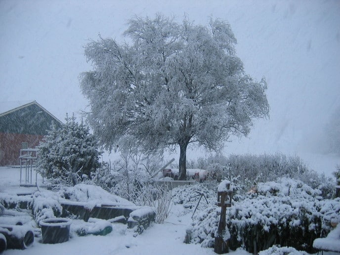 Sneeuwfoto’s - Foto: Ingezonden foto