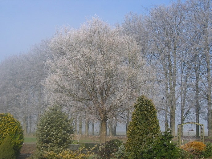 Sneeuwfoto’s - Foto: Ingezonden foto