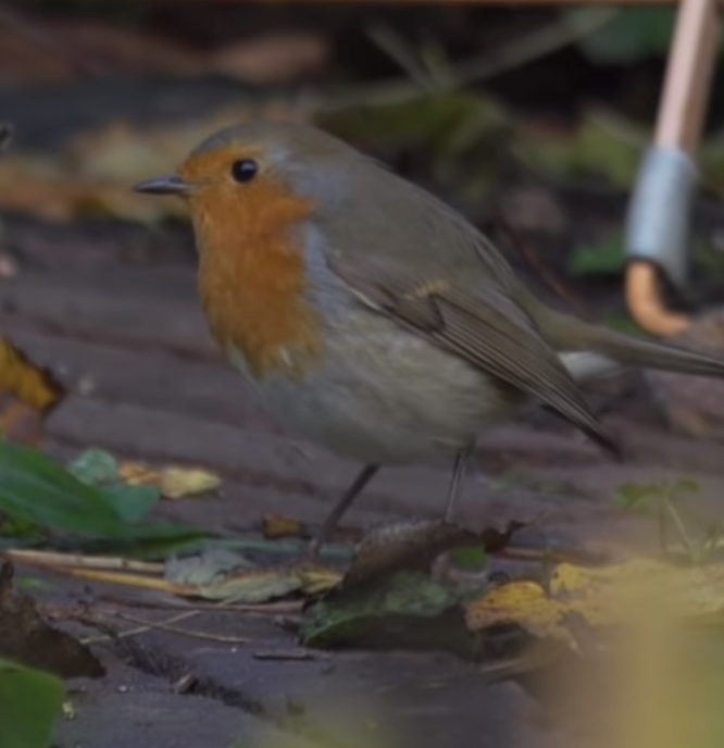 Flink met de natuur bezig - Foto: Ingezonden foto