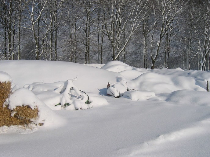 Sneeuwfoto’s - Foto: Ingezonden foto