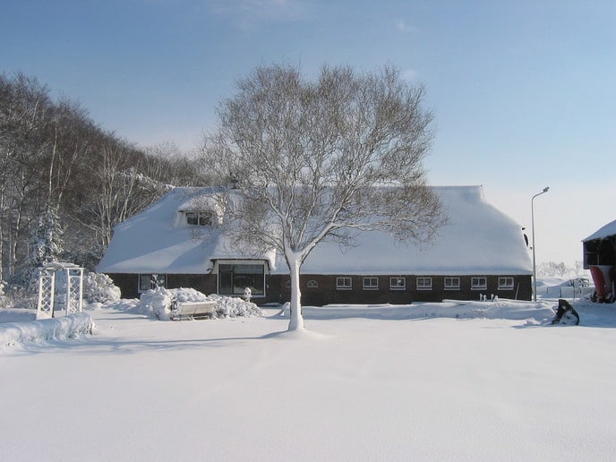 Sneeuwfoto’s - Foto: Ingezonden foto