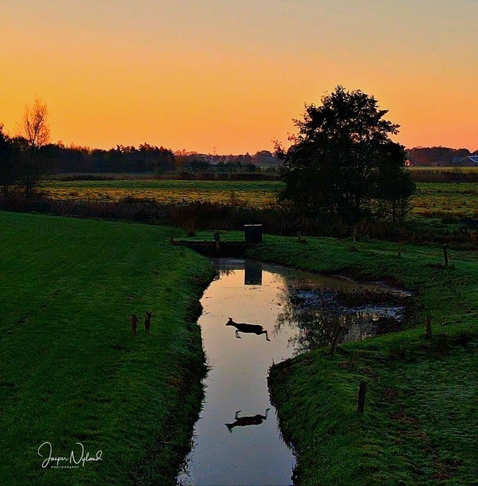 Speciaal moment tijdens dronevlucht