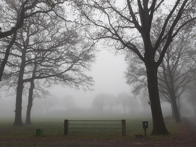 Dichte mist - Foto: William uit Dedemsvaart