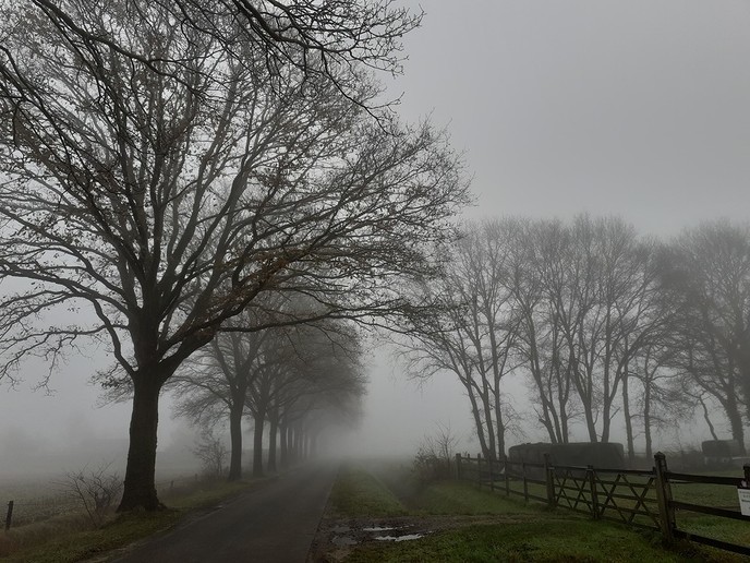 Dichte mist - Foto: William uit Dedemsvaart