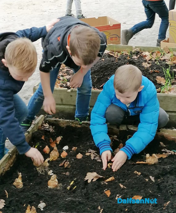 Ankum zet de bloemetjes buiten (komend voorjaar) - Foto: Ingezonden foto