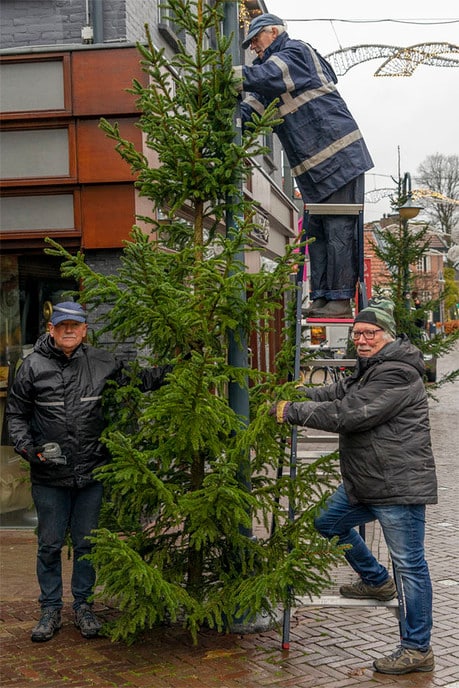 Verkoop kerstbomen door Sportvereniging  - Foto: Paul Scholten
