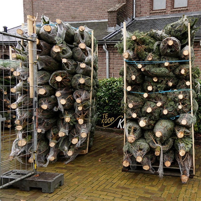 Kerstbomenverkoop SVD 2020 - Foto: Paul Scholten