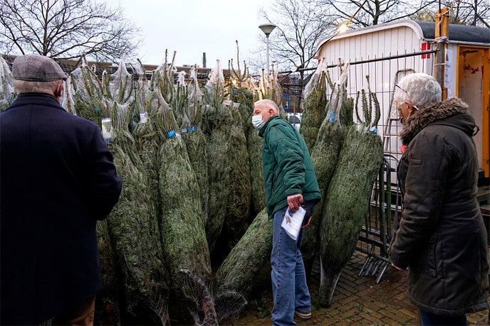 Verkoop kerstbomen door Sportvereniging  - Foto: Paul Scholten