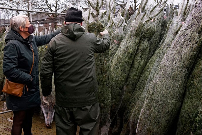 Verkoop kerstbomen door Sportvereniging  - Foto: Paul Scholten