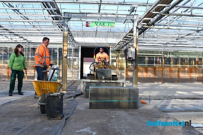 Update – Wat is er toch aan de hand bij Kwekerij Onderdijk? - Foto: Johan Bokma