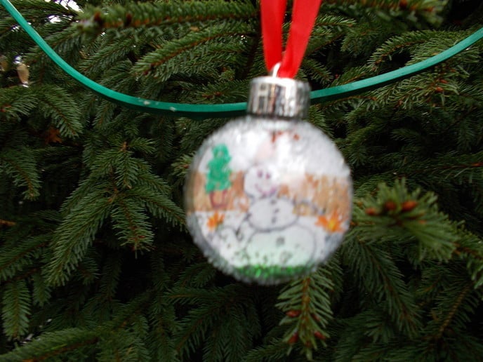 Kerstboom met kerstwensballen op Kerkplein geplaatst