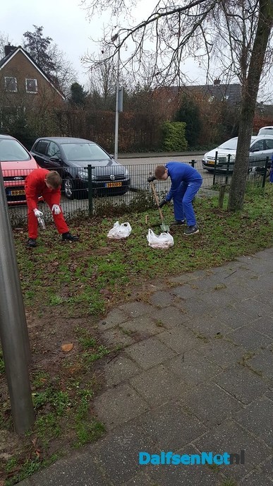 Ankum zet de bloemetjes buiten (komend voorjaar) - Foto: Ingezonden foto