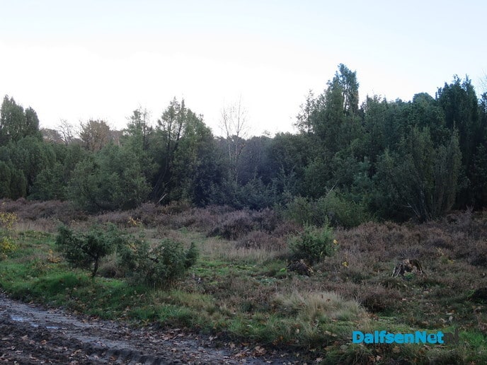 Natura 2000 nieuws Lemelerberg - Foto: Wim