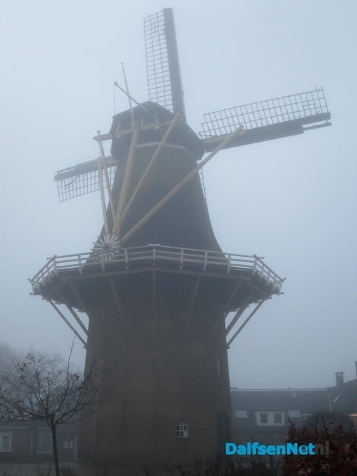 Witte wiemm vanmoan - Foto: Wim