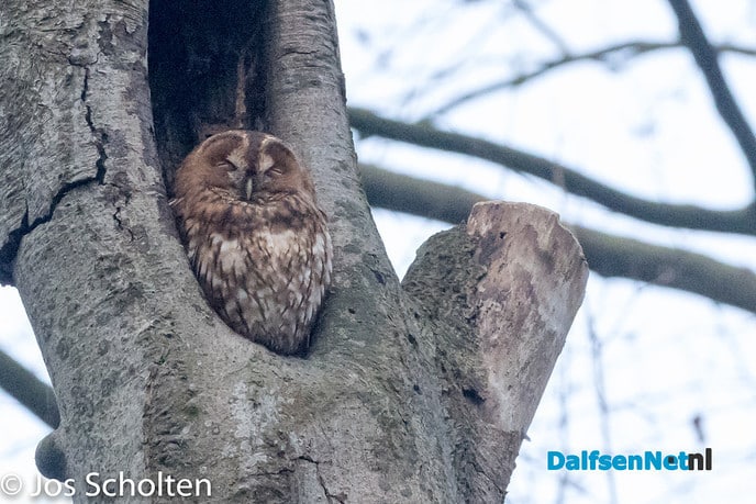 Wijsheid - Foto: Ingezonden foto