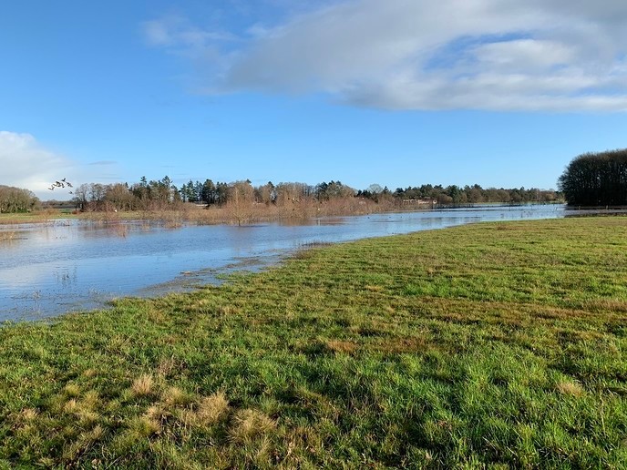 Hessum aan zee - Foto: Ingezonden foto