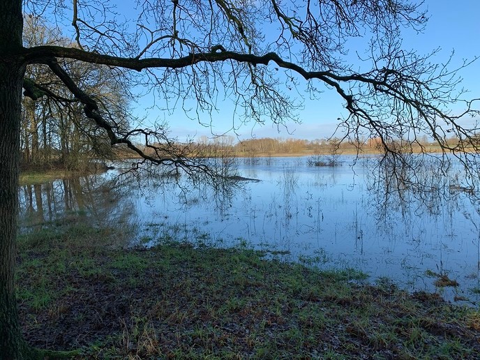 Hessum aan zee - Foto: Ingezonden foto