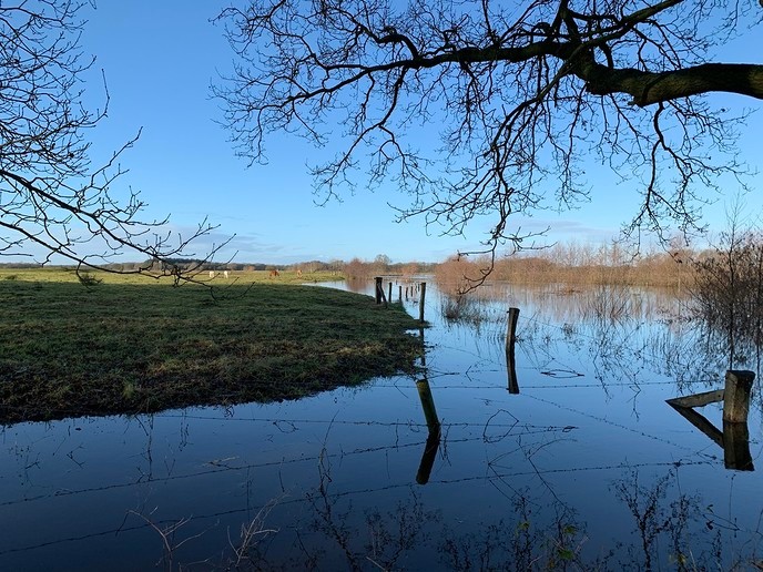 Hessum aan zee - Foto: Ingezonden foto