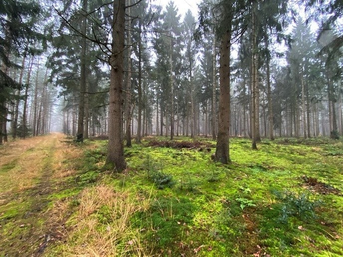 Heerlijk gewandeld in het Sterrebosch - Foto: Ingezonden foto