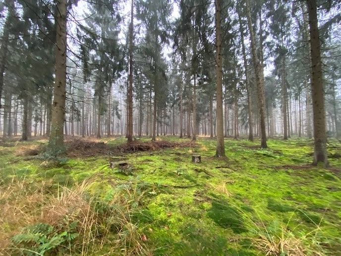 Heerlijk gewandeld in het Sterrebosch - Foto: Ingezonden foto