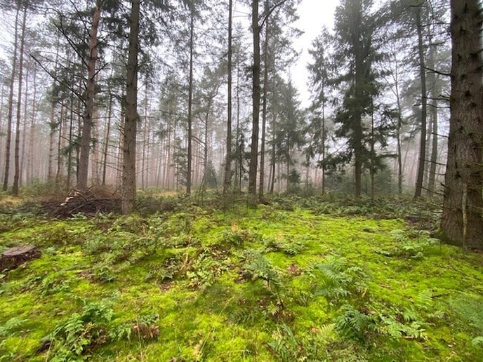 Heerlijk gewandeld in het Sterrebosch - Foto: Ingezonden foto