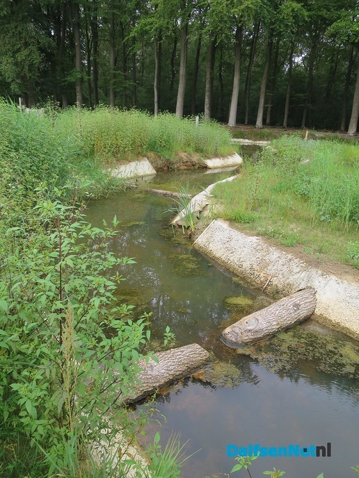 Marswetering: het allermooiste nieuwe natuurgebied - Foto: Wim