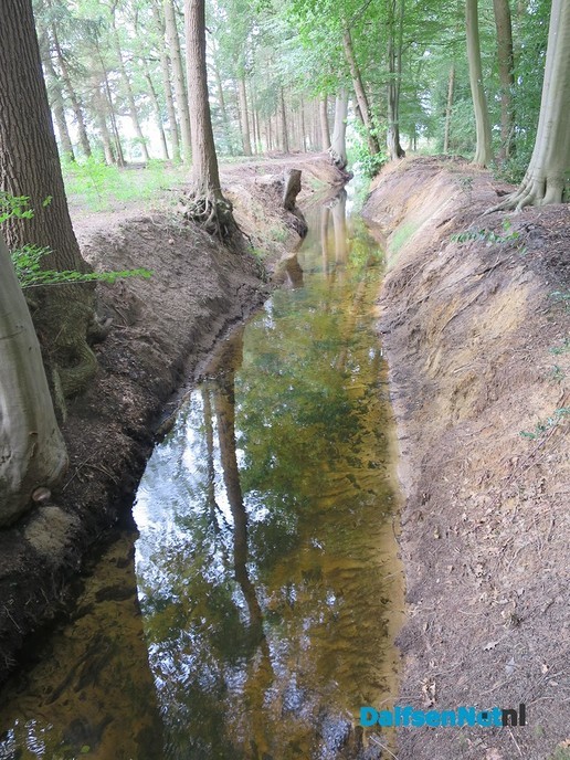 Marswetering: het allermooiste nieuwe natuurgebied - Foto: Wim