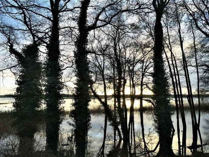 Vistrap bij de stuw en de Stokte - Foto: Ingezonden foto