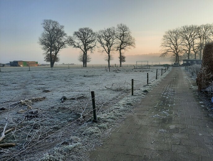 Mien mooie Welsum - Foto: Gruune Jopie