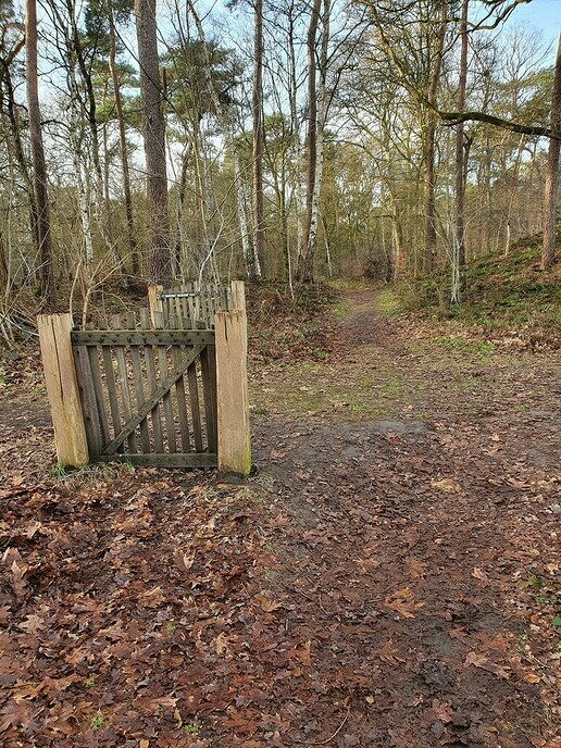 Veehekjes in Vilsteren - Foto: Ingezonden foto