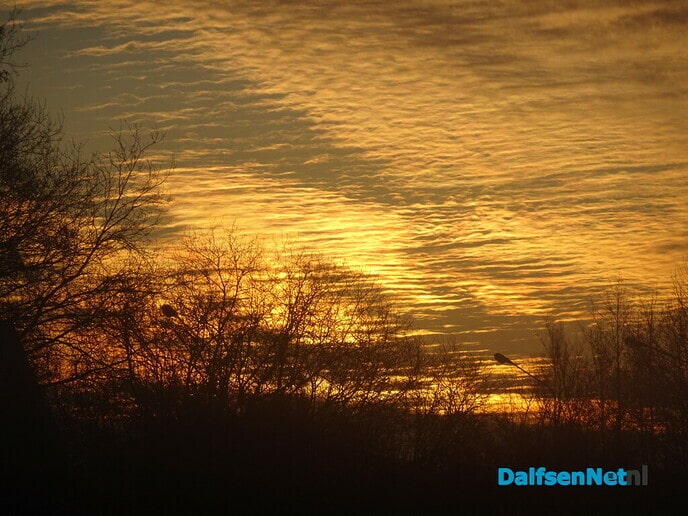 Vorst en mist Bellingeweer - Foto: Ingezonden foto