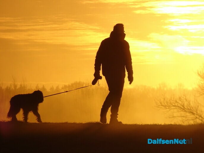 Vorst en mist Bellingeweer - Foto: Ingezonden foto