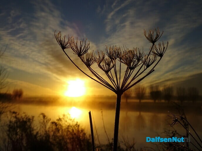 Vorst en mist Bellingeweer - Foto: Ingezonden foto