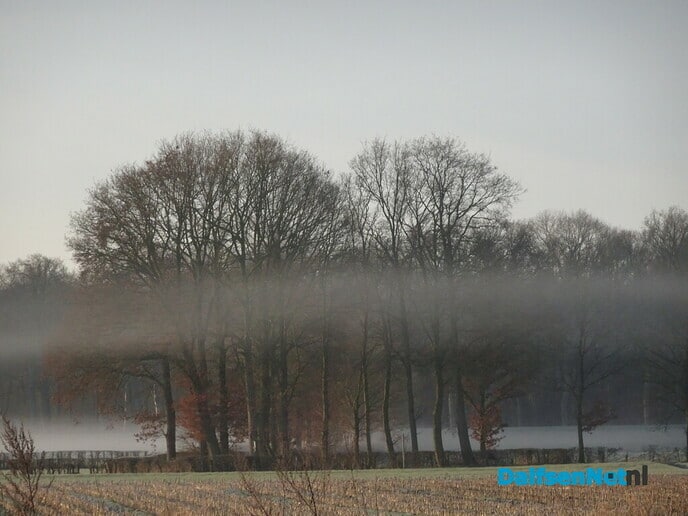 Vorst en mist Bellingeweer - Foto: Ingezonden foto