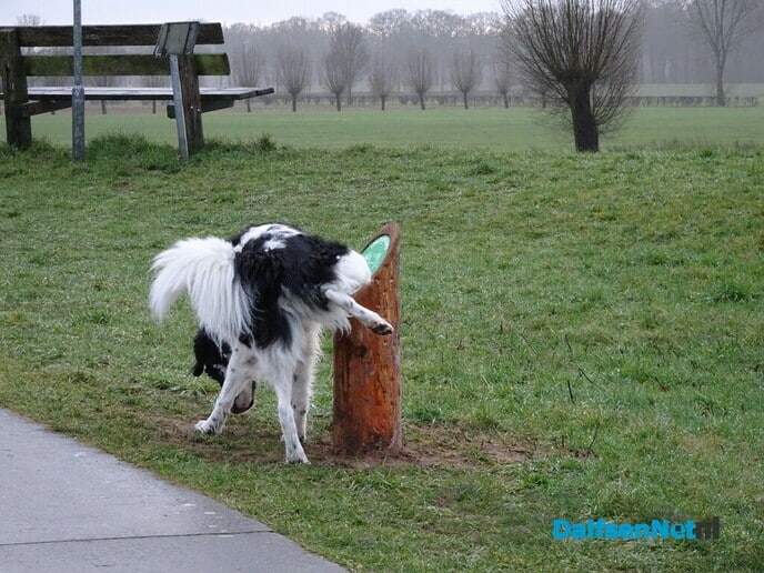 Pispaaltje - Foto: Ingezonden foto