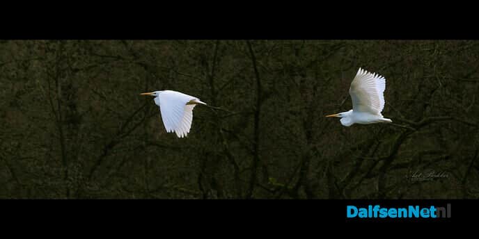 In vogelvlucht - Foto: Ingezonden foto
